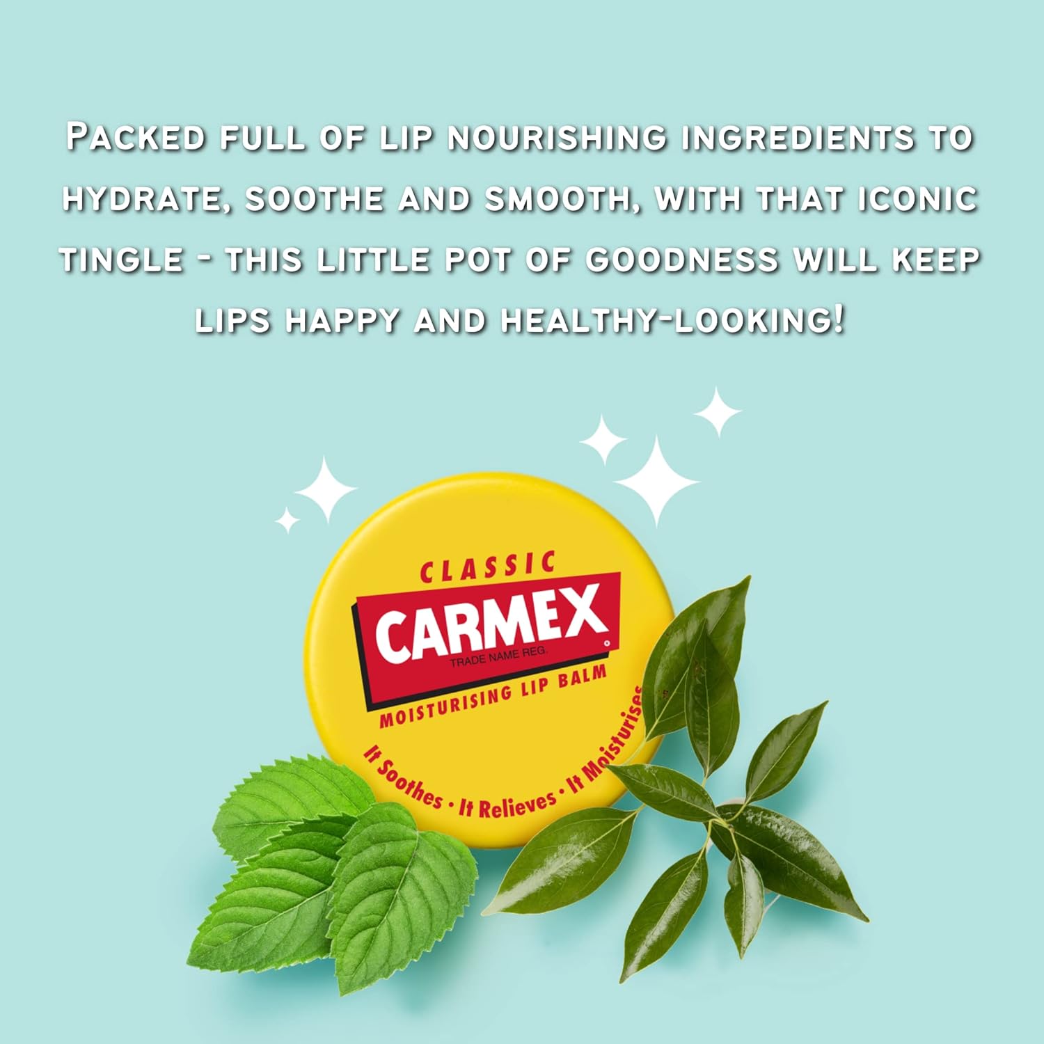 Carma Laboratories Carmex Moisturising Lip Balm Pot Classic