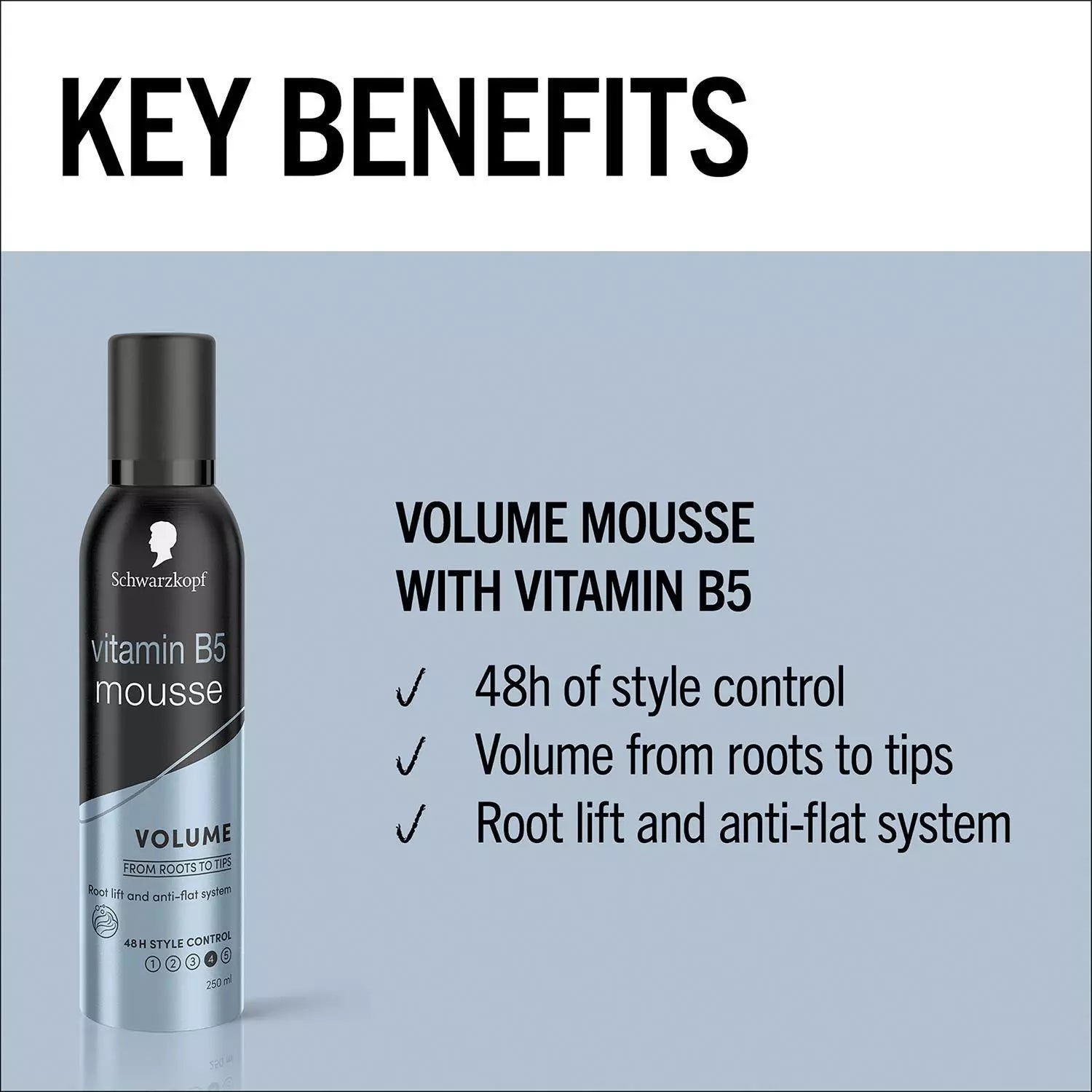 Schwarzkopf Volume Lift 48H Extra Strong Hold Mousse, 250ml